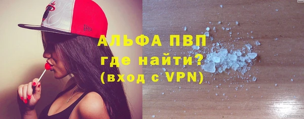 прущие грибы Волоколамск