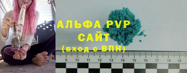 прущие грибы Волоколамск