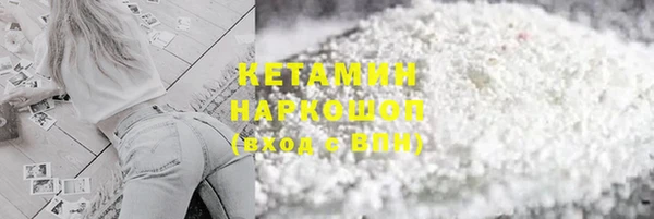 индика Володарск