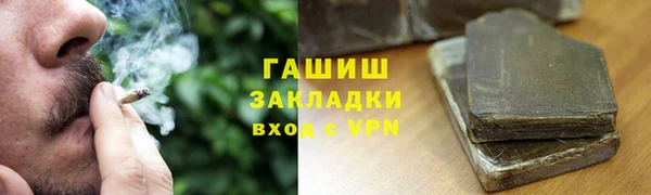 прущие грибы Волоколамск