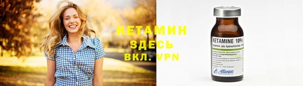индика Володарск