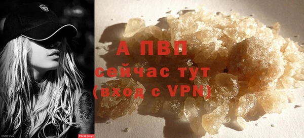 индика Володарск
