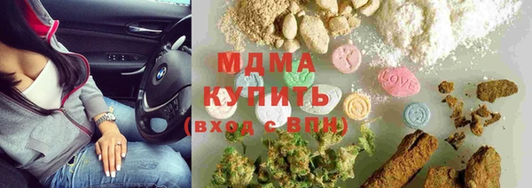 прущие грибы Волоколамск