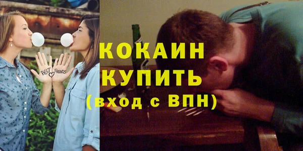 индика Володарск