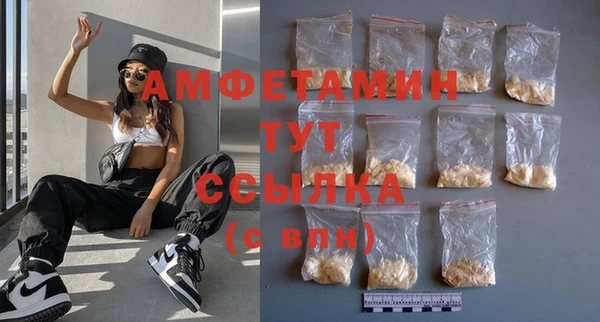 индика Володарск
