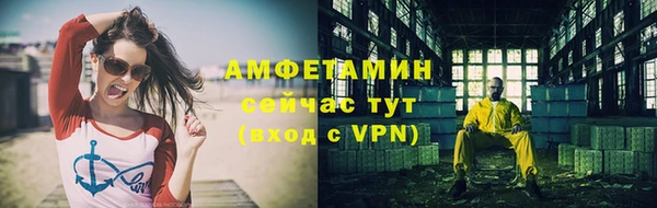 индика Володарск