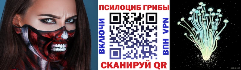 Псилоцибиновые грибы Psilocybine cubensis  продажа наркотиков  Георгиевск 